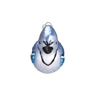 OWC-Bright Blue Jay
