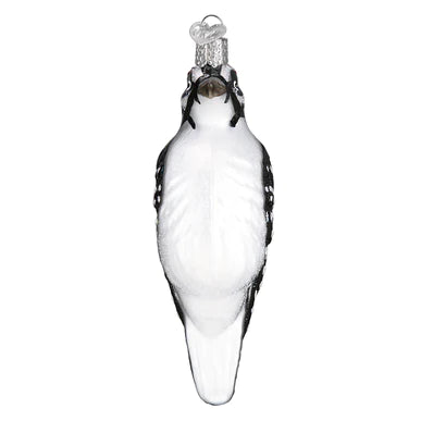 OWC-Hairy Woodpecker