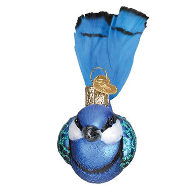 OWC-Fairy Wren