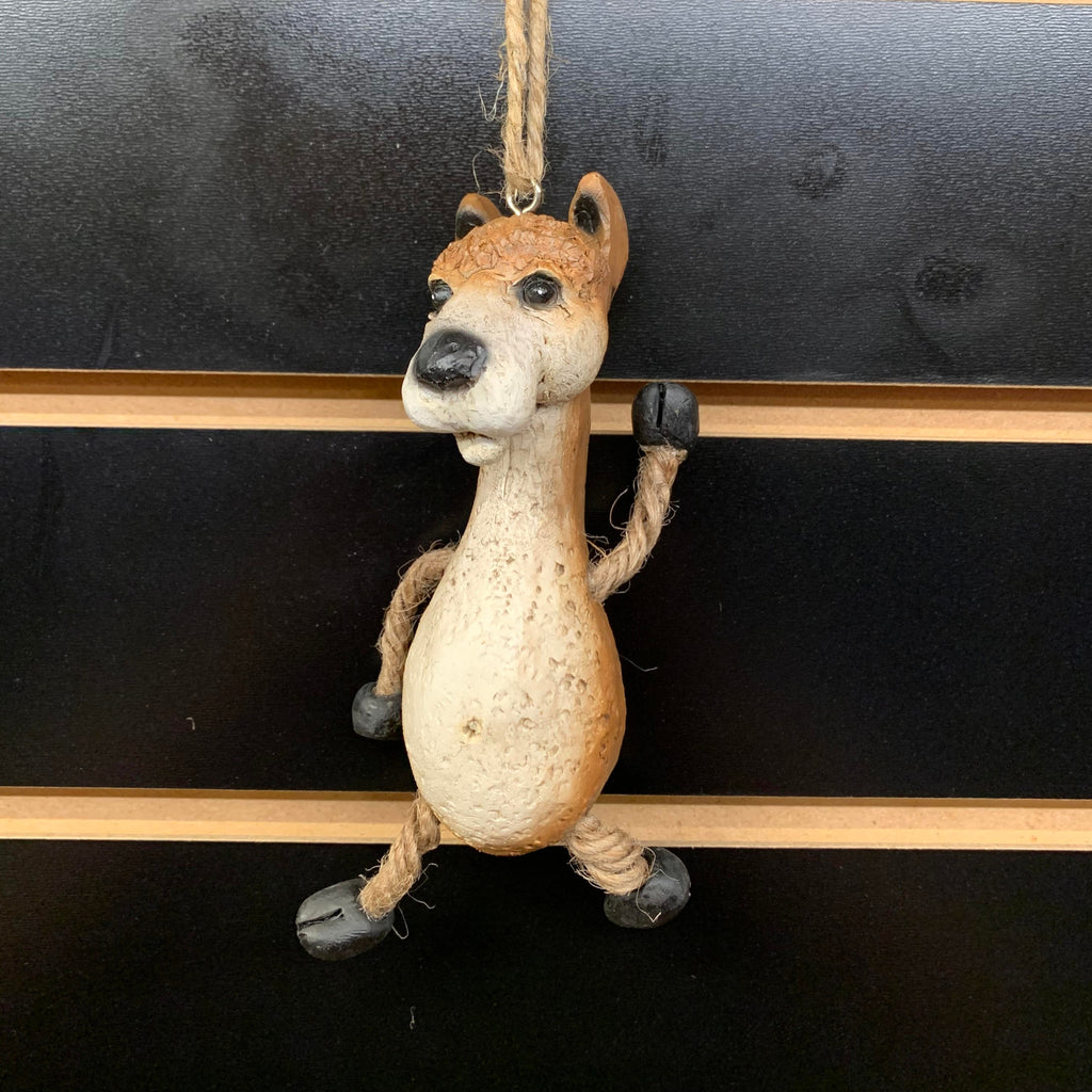 Alpaca
