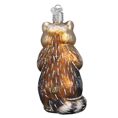 OWC-  Raccoon