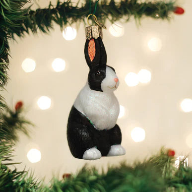 OWC - Dutch Rabbit