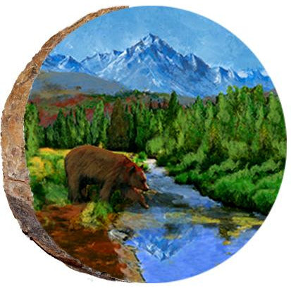 Bear Crossing Stream