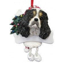 King Charles Cavalier Tri-color