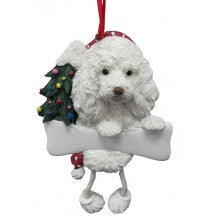 Maltipoo