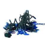 Blue LED 50 Lights