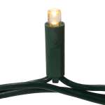 Warm White LED 50-Lights