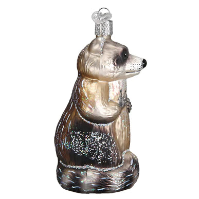 OWC-  Raccoon