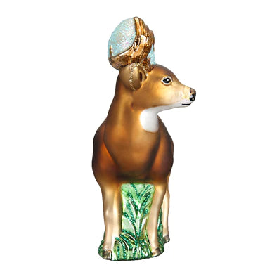 OWC- Whitetail Deer