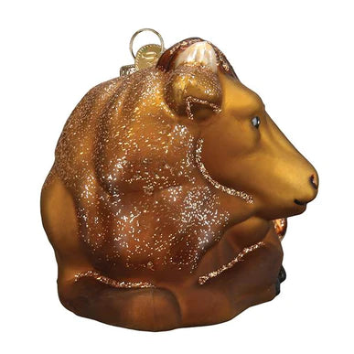 OWC- Glass Ox