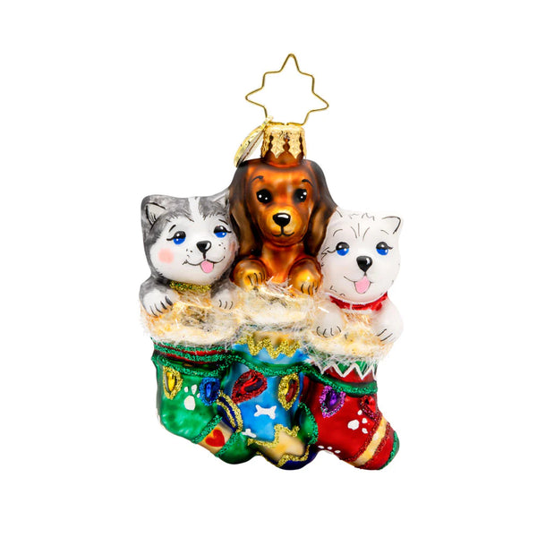 Coming Soon! Puppy Presents Gem