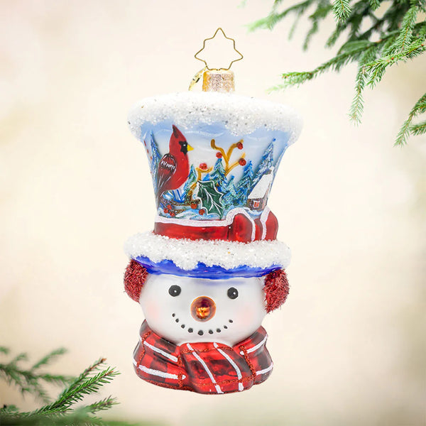 Snowy and the Cardinals