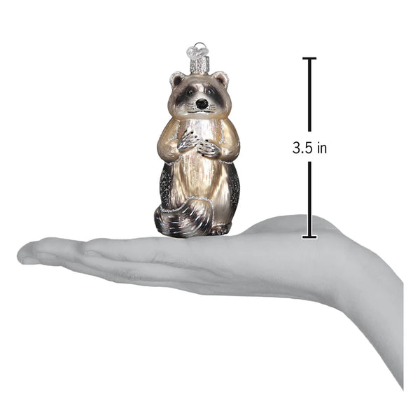 Raccoon