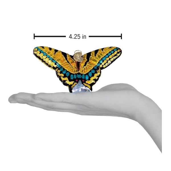 Swallowtail Butterfly