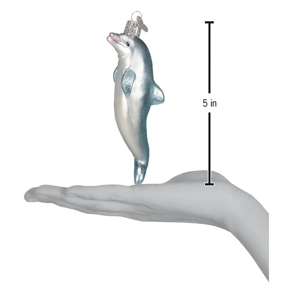 Playful Dolphin