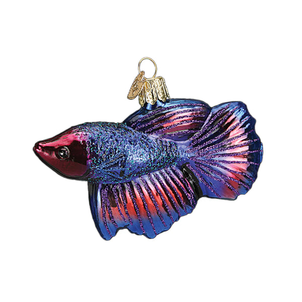 Betta Fish