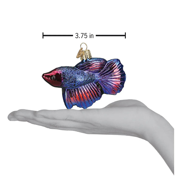 Betta Fish