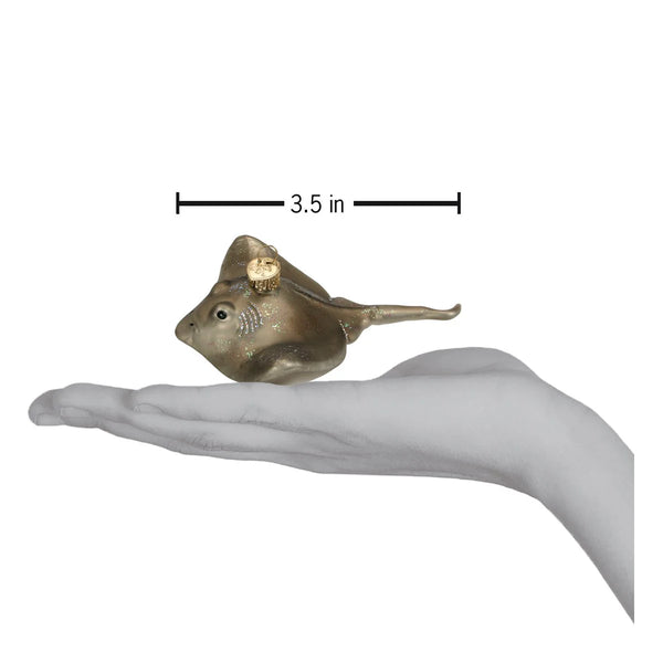 Stingray