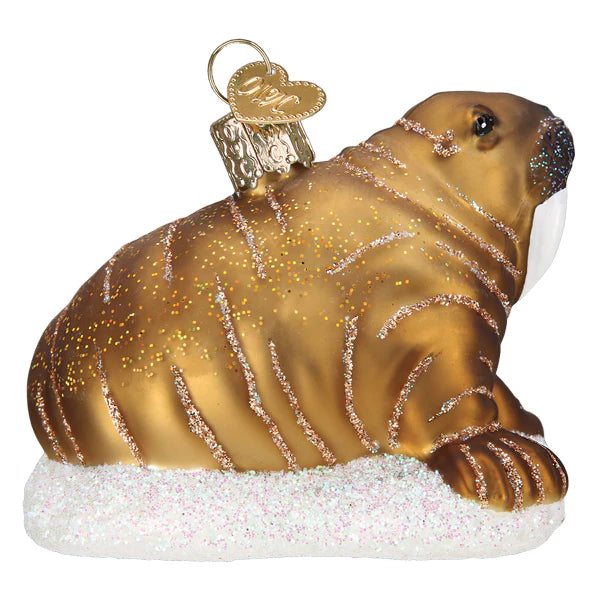 Walrus