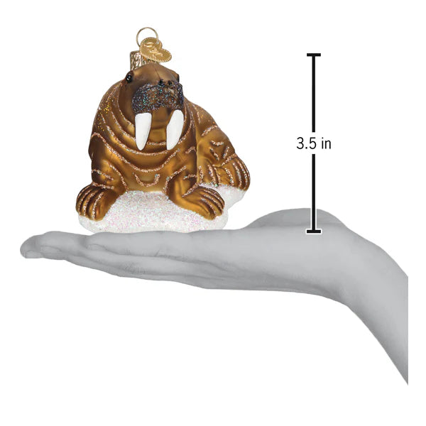 Walrus