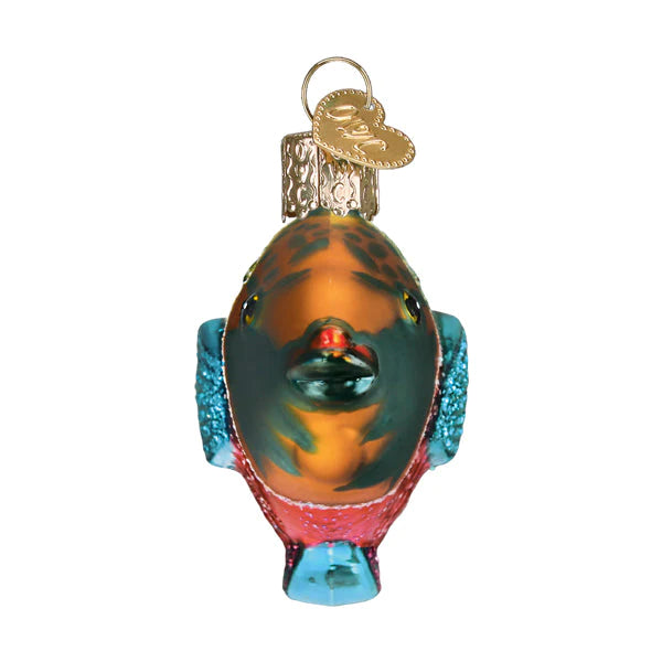 Coming Soon!! Parrotfish Ornament