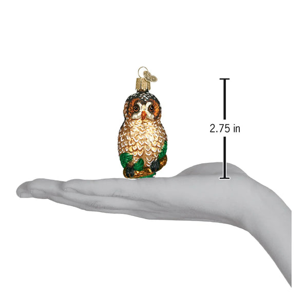 Spotted Owl