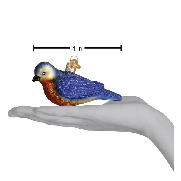 Western Bluebird