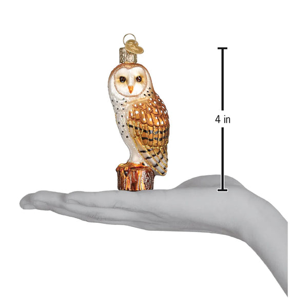 Barn Owl