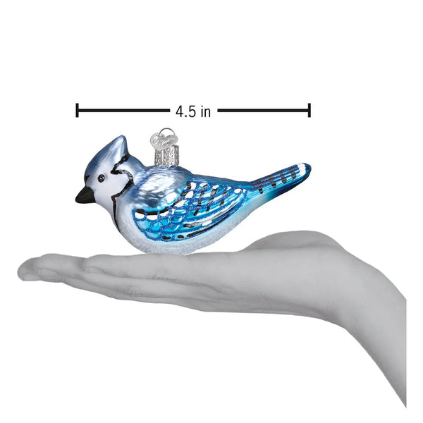 Bright Blue Jay