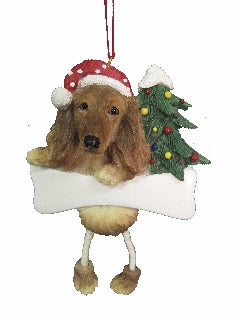 longhaired Dachsund