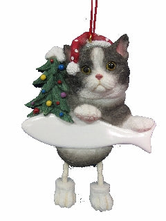 Black and White Cat