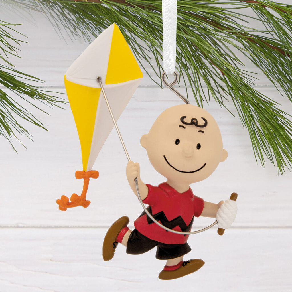 Charlie Brown With Kite