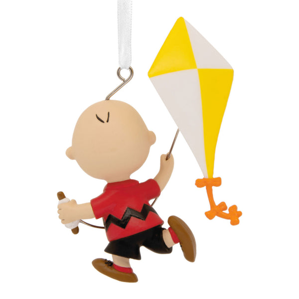 Charlie Brown With Kite