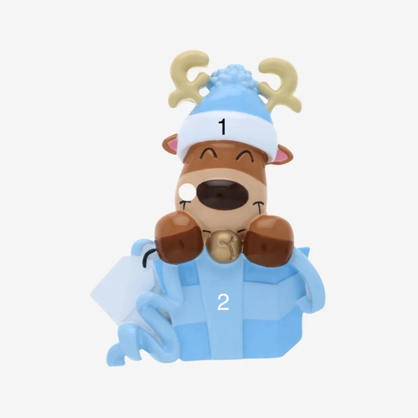 Coming Soon! Baby Reindeer in Gift Box