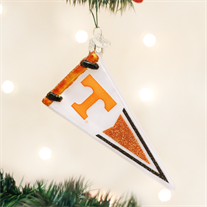 University of Tennessee Glass Pennant