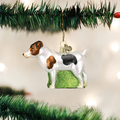 Old World Christmas Jack Russell Terrier