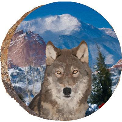Colorado Wolf