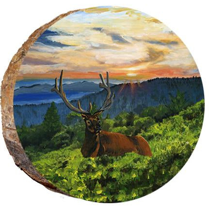 Elk Resting in Sunset Wood Ornament